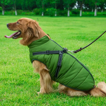 Manteau Pour Chien