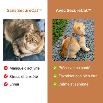 Harnais Chat Anti Fugue + Laisse Offerte SecureCat™