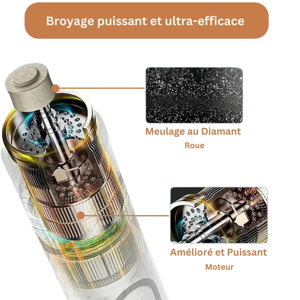 Coupe-Ongles Électrique Pour Chien Sans Douleur