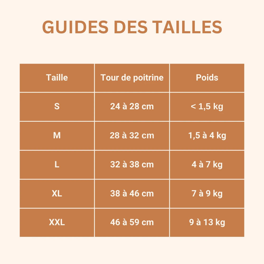 Harnais Chat Anti Fugue + Laisse Offerte SecureCat™