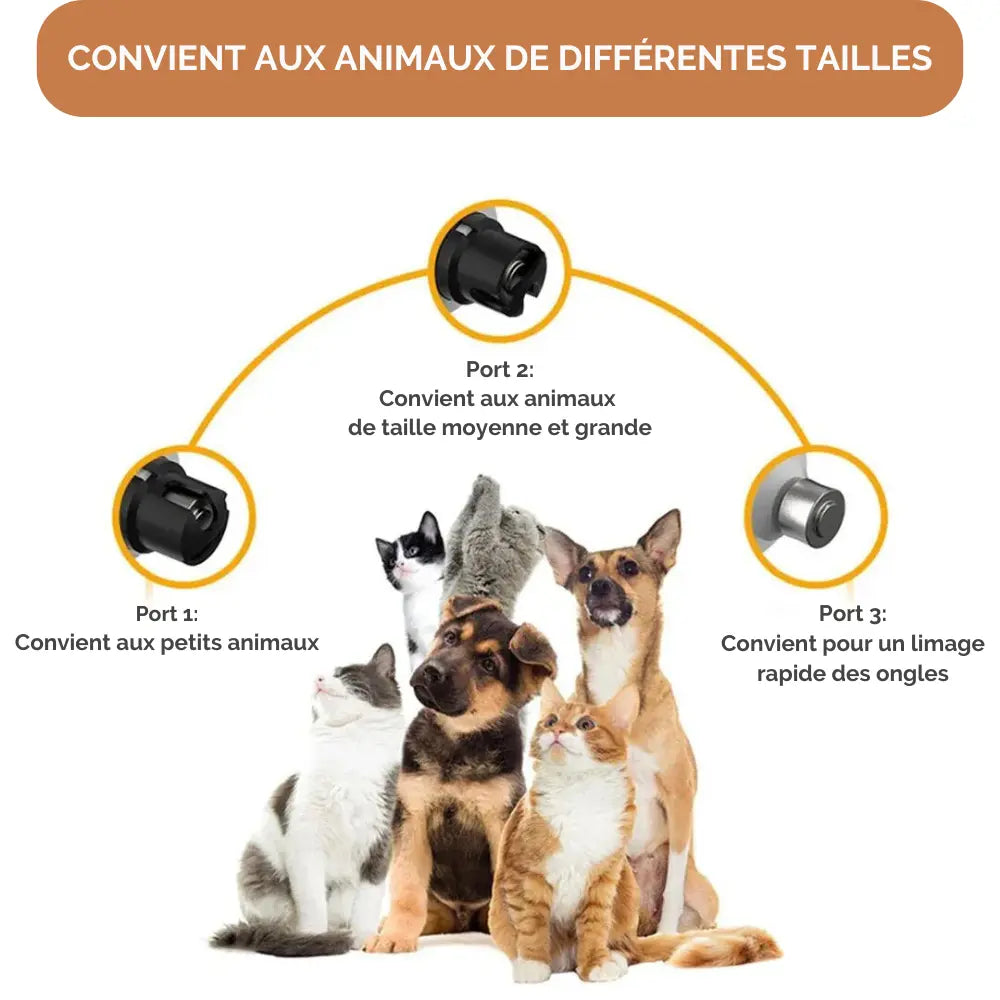 Coupe-Ongles Électrique Pour Chien Sans Douleur