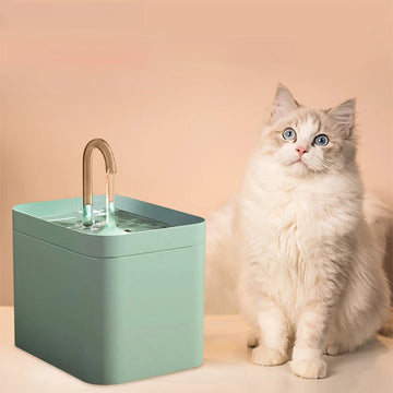 Fontaine à Eau Pour Chat Silencieuse