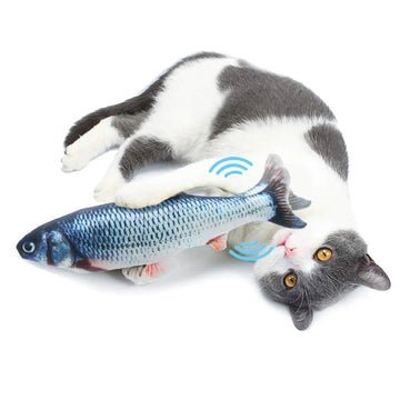 Jeu Poisson Pour Chat