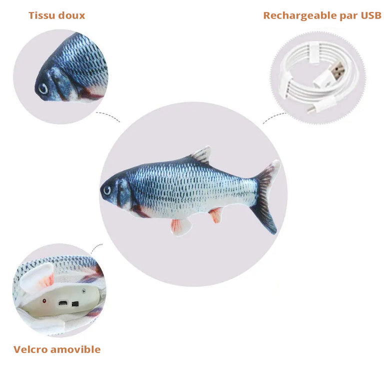Jeu Poisson Pour Chat