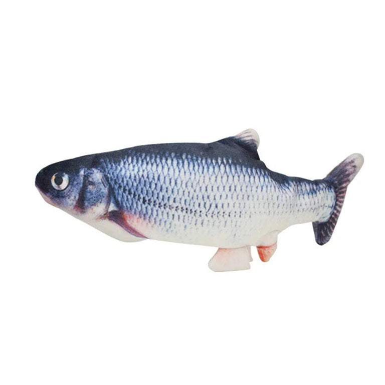 Jeu Poisson Pour Chat