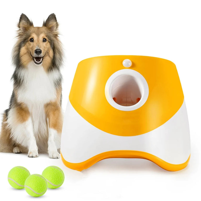 Lanceur De Balle Automatique Pour Chien