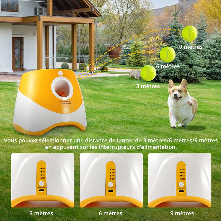 Lanceur De Balle Automatique Pour Chien