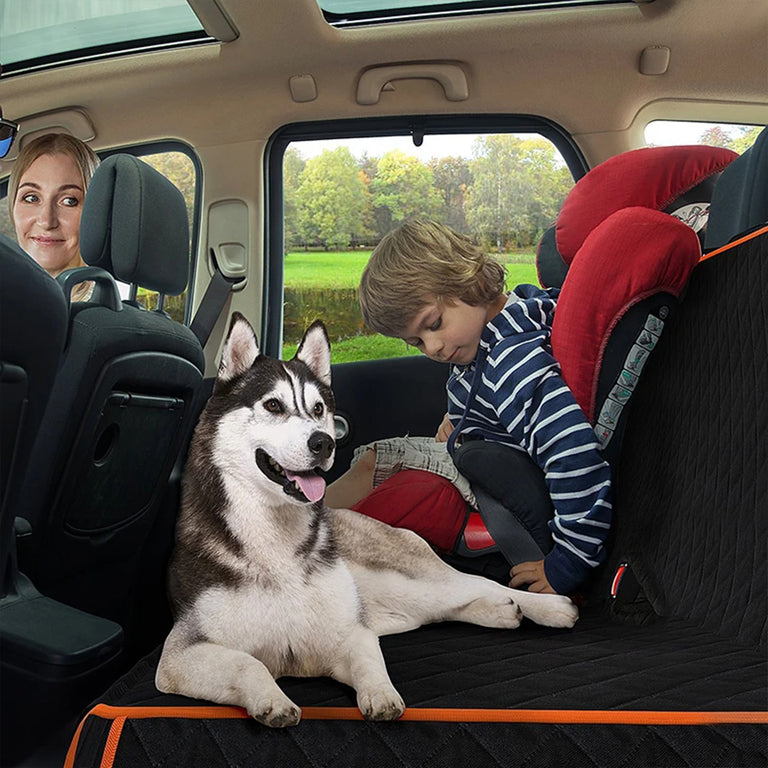 Housse Voiture Pour Chien