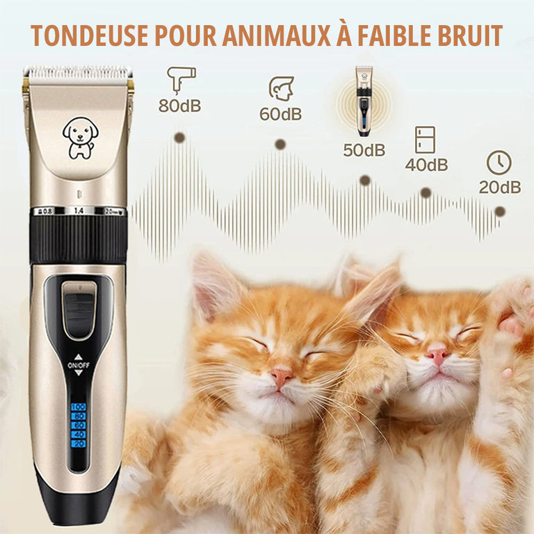 Tondeuse Pour Chien Poil Long et Épais