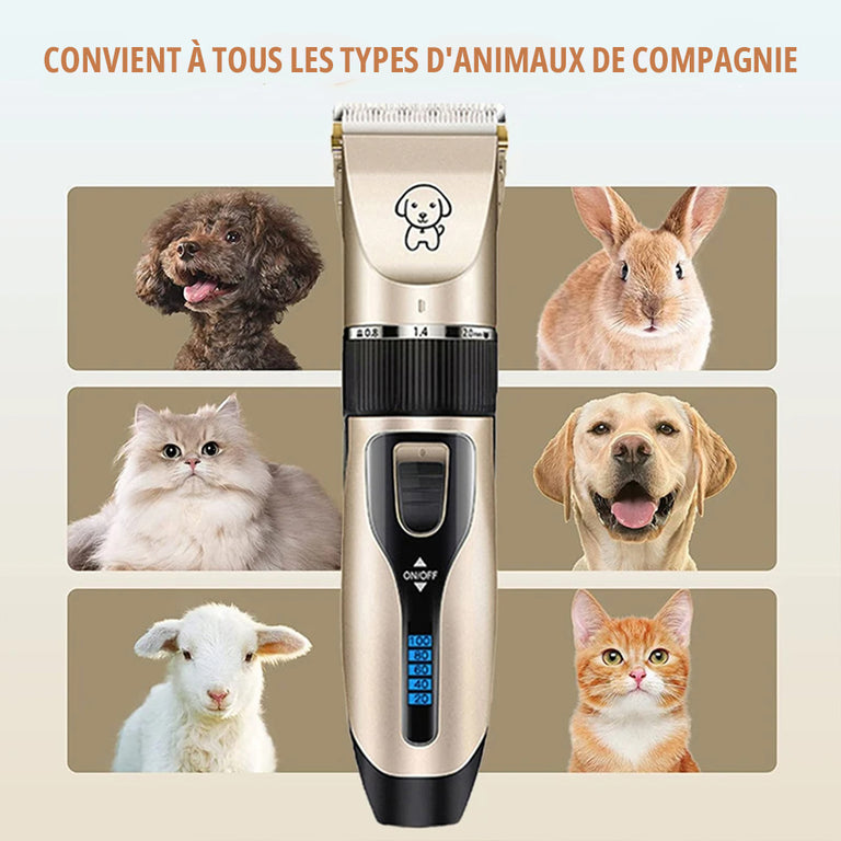 Tondeuse Pour Chien Poil Long et Épais
