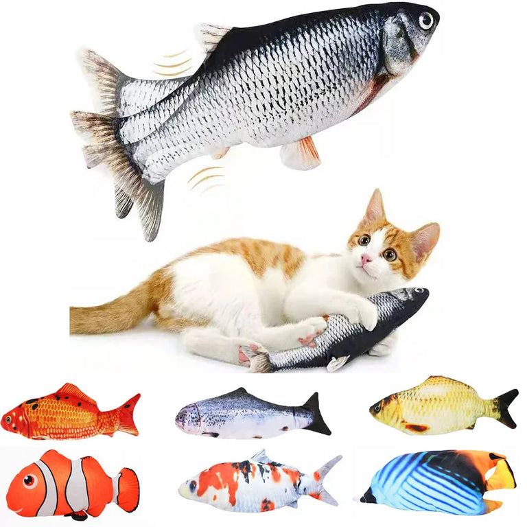 Jeu Poisson Pour Chat