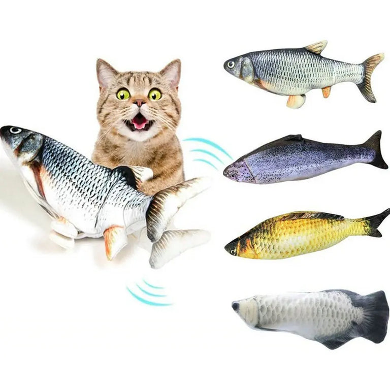 Jeu Poisson Pour Chat