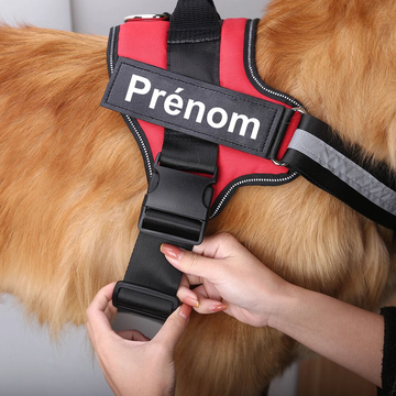 Harnais Prénom Anti Traction pour Chien Personnalisable