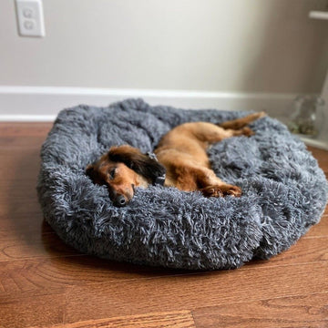 Coussin Apaisant Pour Chien